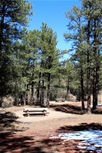Sandia Ranger District – Pine Flat Picnic Area