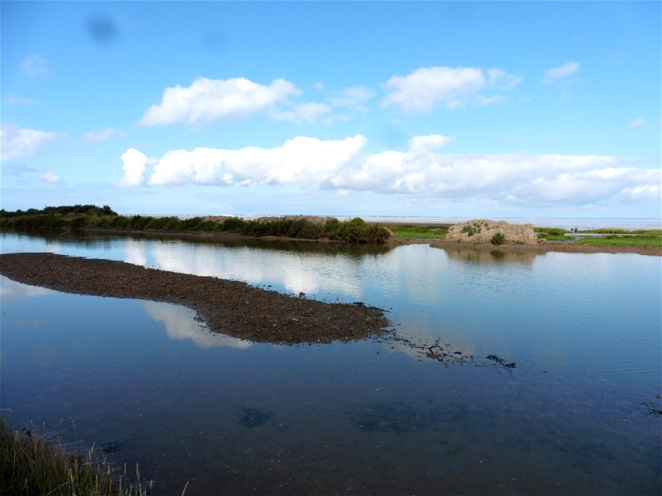 Littoral charentais, Oléron, Moëze