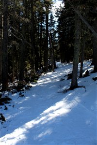 Ellis Trailhead Dec 2020