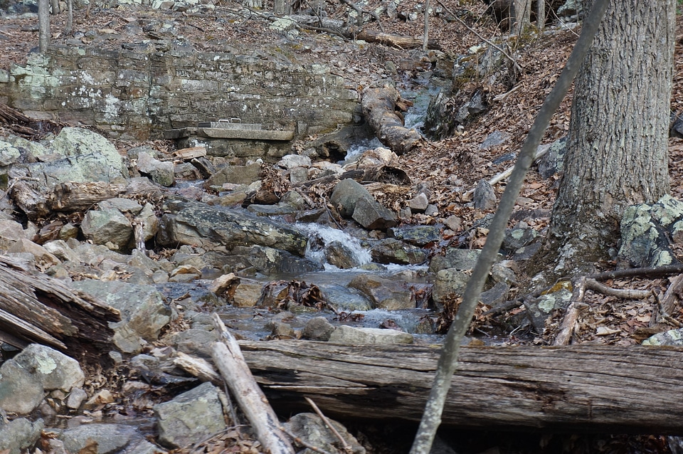 Shenandoah National Park
