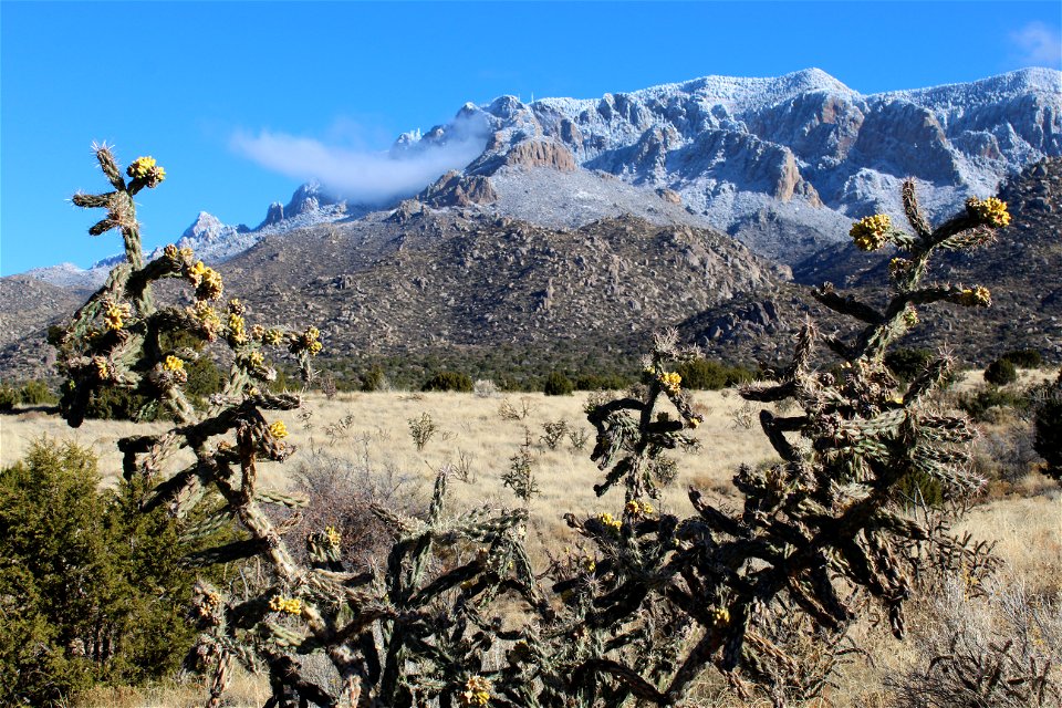 11 19 Sandia Peak West 12