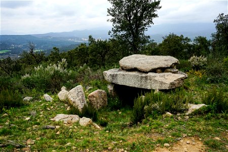 07-03-2021 Excursió per l' Albera