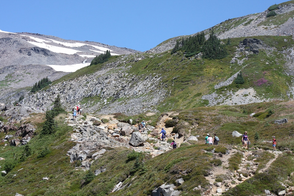 Paradise trail in Mount Rainier National Park, Washington