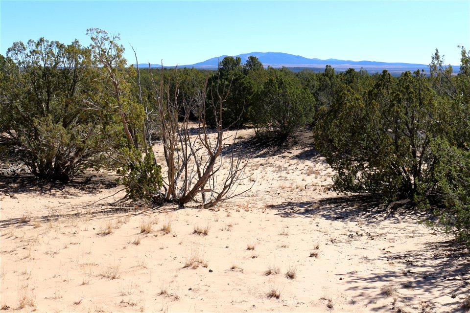 Gallinas Mountains