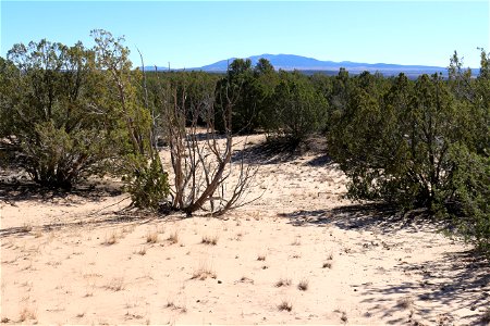 Gallinas Mountains