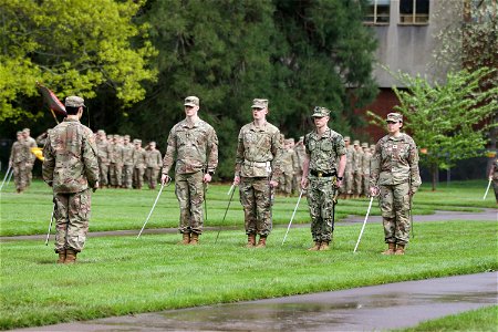 Joint Service Review 2022