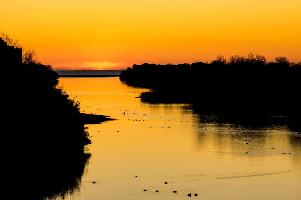 05-01-2020 Aiguamolls de l' Empordà
