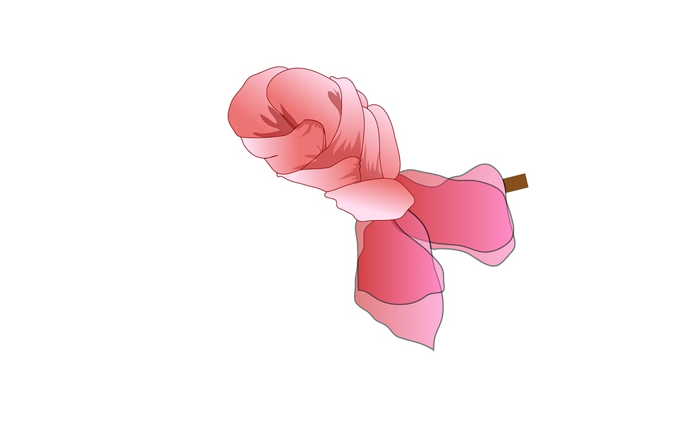 Smooth elegant satin scarf illustration on white background