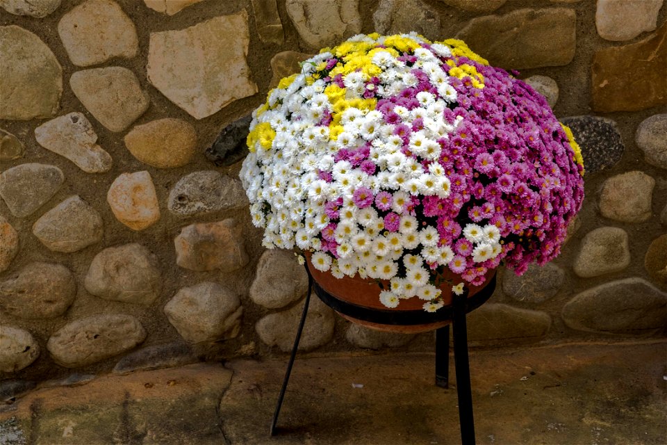 04-11-2016 Besalú