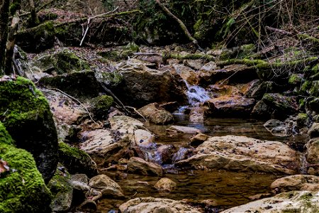 19-02-2019 Riera de Milany i Salt del Roure