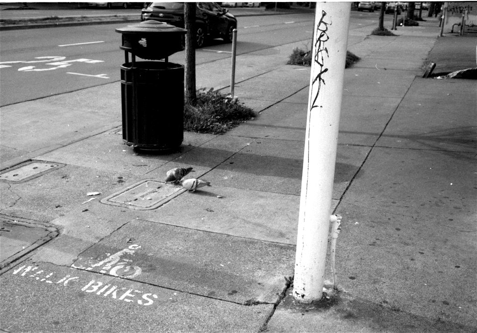 2022-01-15-0004