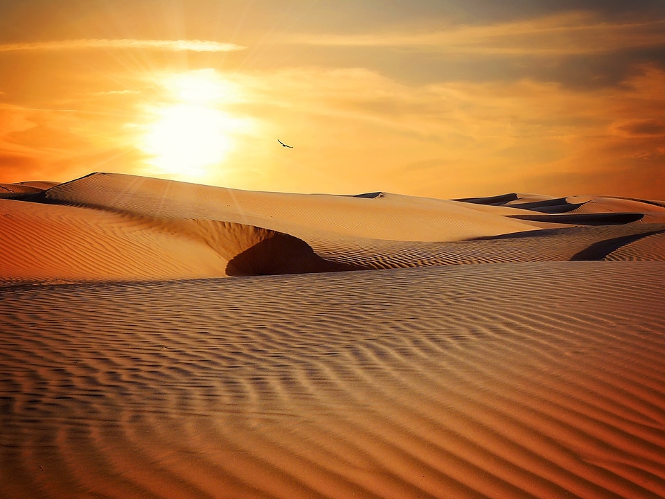 Moroccan desert landscape with sun set. Dunes background. photo