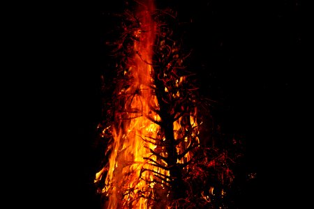Fire