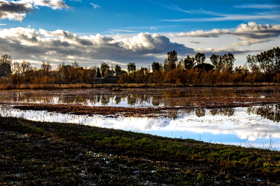 23-12-2019 Aiguamolls de l' Empordà