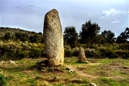 07-03-2021 Excursió per l' Albera