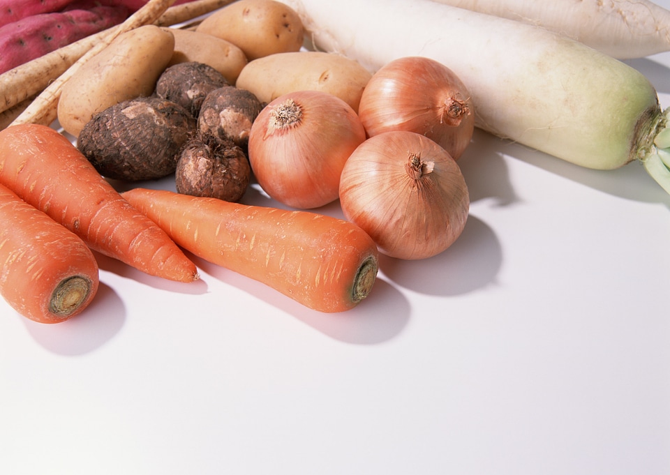 Fresh picked vegetables
