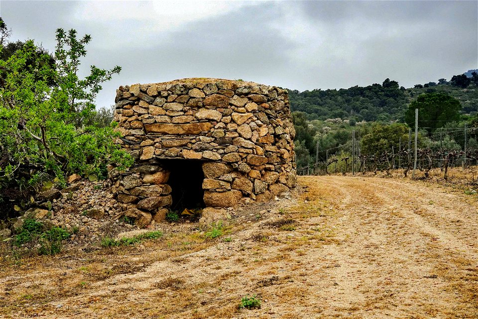 07-03-2021 Excursió per l' Albera