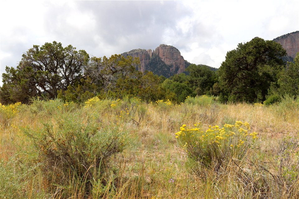 20181002-FS-Cibola-Magdalena Sawtooth-002