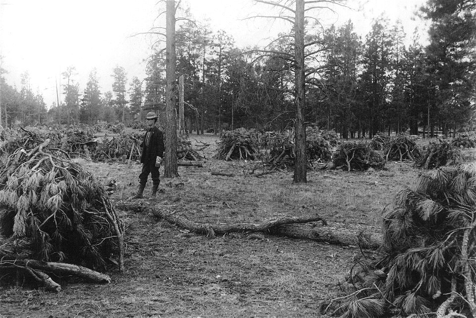 Historic Photos Cibola NF & NGs