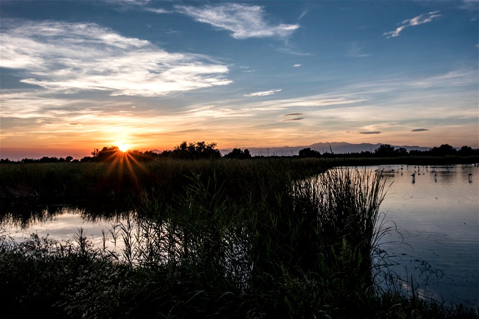 22-09-2018 Aiguamolls de l' Empordà
