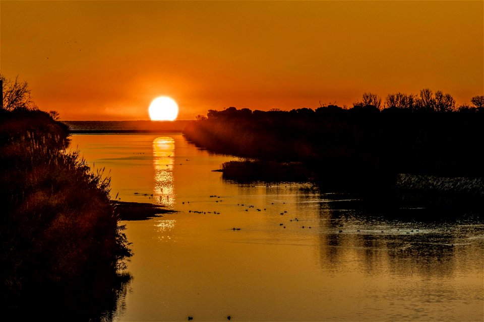 05-01-2020 Aiguamolls de l' Empordà