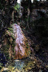 19-02-2019 Riera de Milany i Salt del Roure