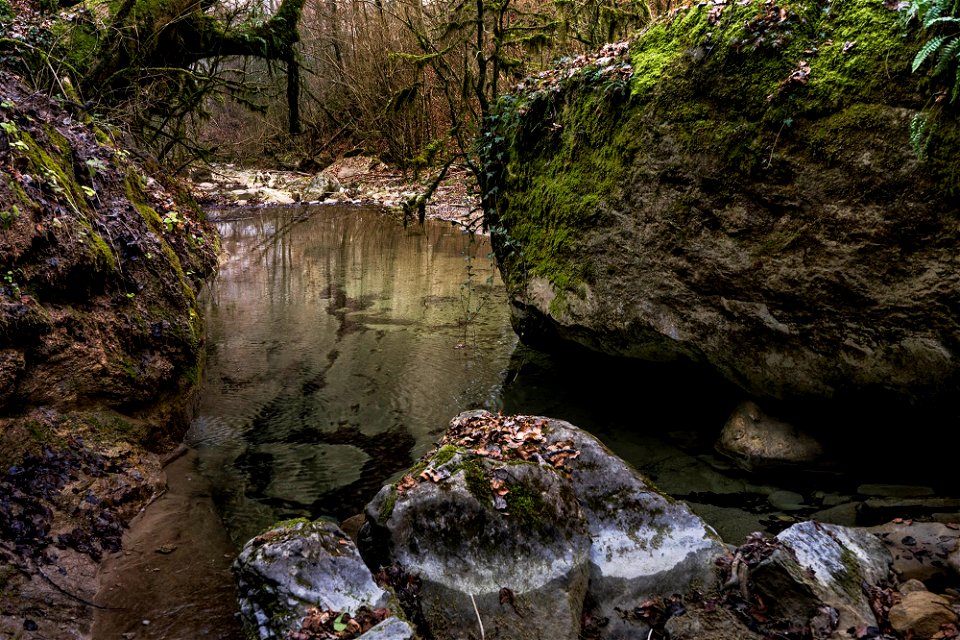 19-02-2019 Riera de Milany i Salt del Roure