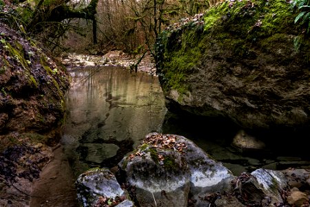 19-02-2019 Riera de Milany i Salt del Roure