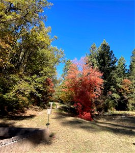 Fall Colors on Mountainair Ranger District