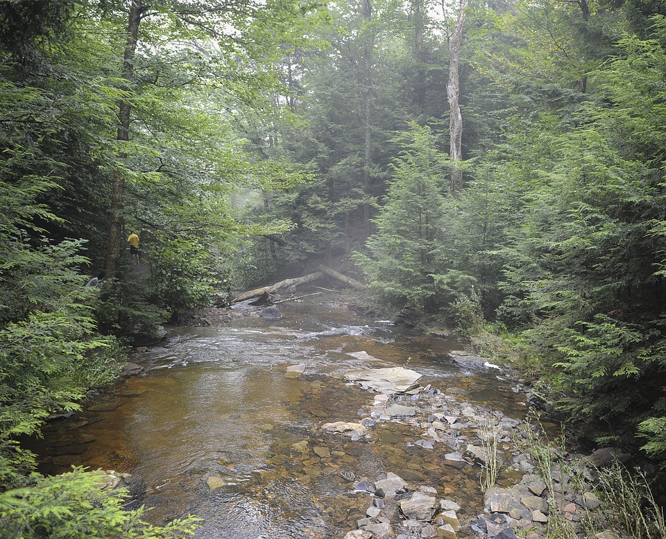 Ricketts Glen State Park