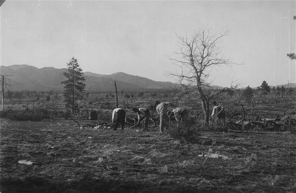 Historic Photos Cibola NF & NGs
