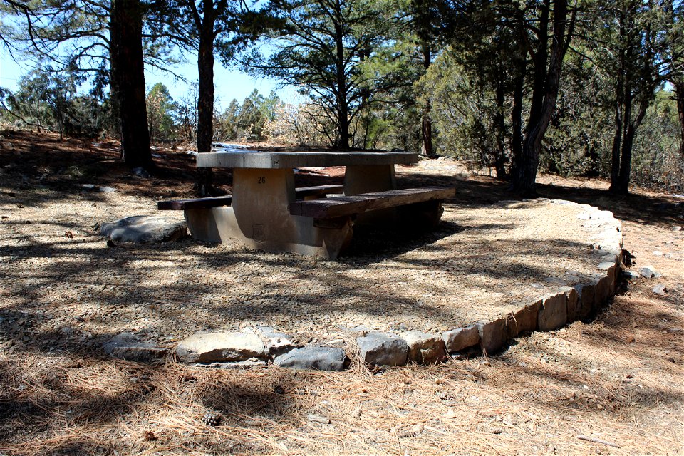 Sandia Ranger District – Pine Flat Picnic Area