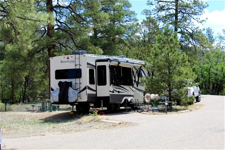 Mt Taylor RD Coal Mine Campground