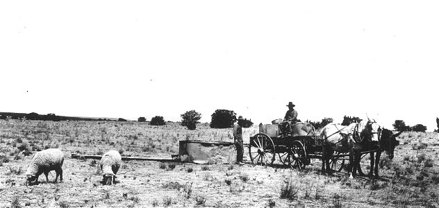 Historic Photo Cibola NF & NGs