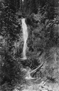 Historic Photo Cibola NF & NGs