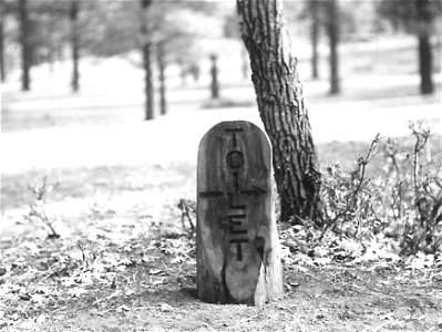 Historic Photo - Cibola NF & NG