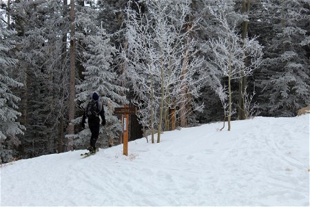 Sandia 10K Trailhead