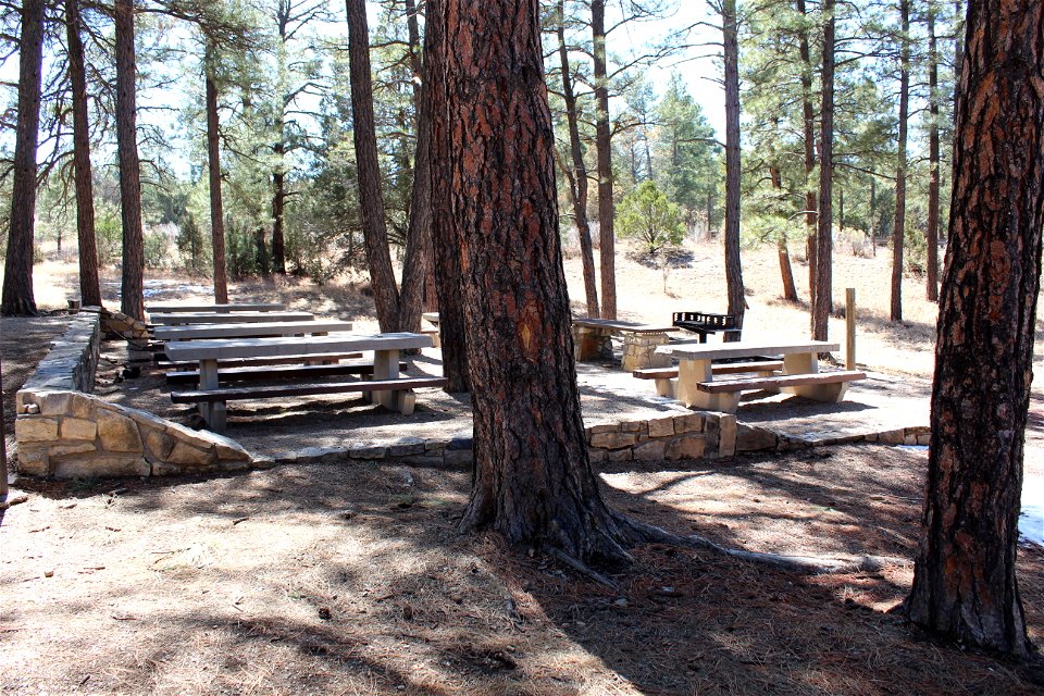 Sandia Ranger District – Pine Flat Picnic Area
