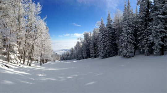 Sandia Peak Ski Area