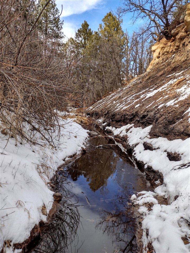 Mt Taylor Lobo Canyon Creek