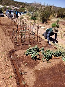 Friends of Tijeras Pueblo Garden Planting Day