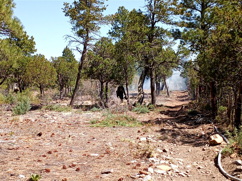 Thunderbird Prescribed Burn