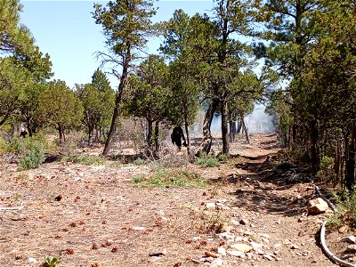 Thunderbird Prescribed Burn