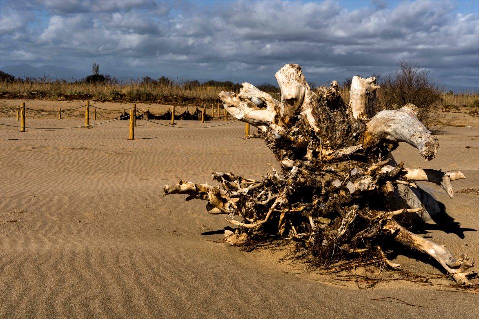 01-03-2020 Platja de San Pere Pescador, danys del temporal Gloria