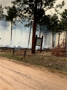 Thunderbird Prescribed Burn