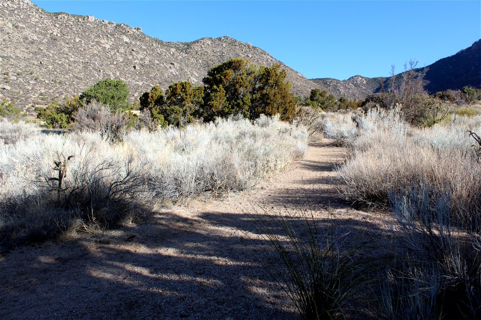 Sandia Ranger District – 3 Gun Trailhead