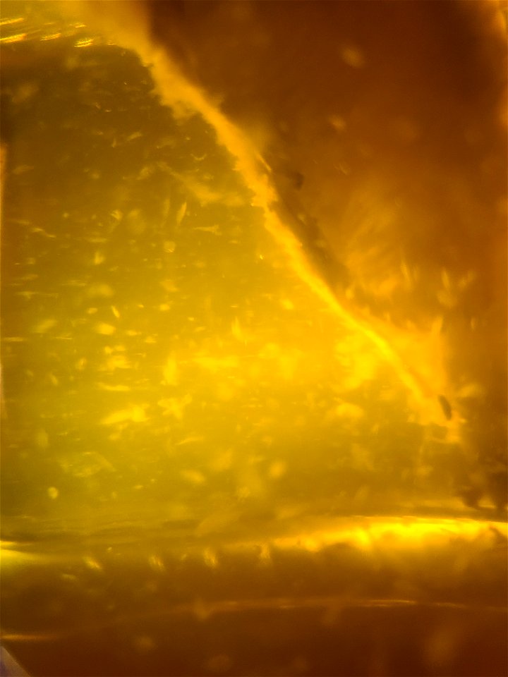 Abstract Flares and Textures
