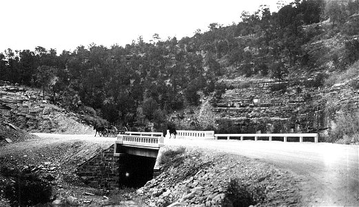 Historic Photo Cibola NF & NGs