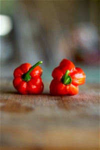 Hot Peppers photo