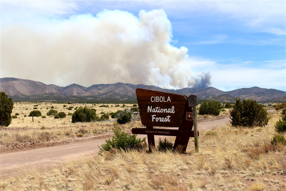 Magdalena RD Bear Trap Fire 2022